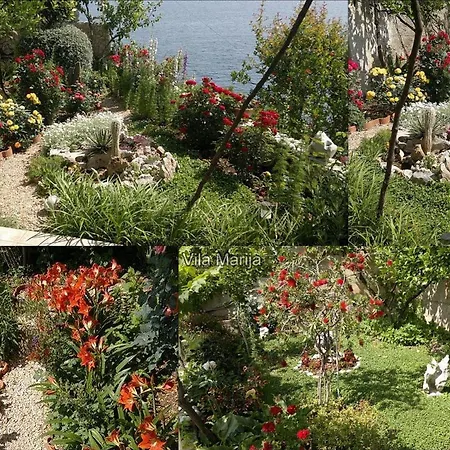Unique Dalmatian Seafront - Set In A 300 M2 Mediterranean Garden With Private Beach, Large Pool And Terrace. * 자톤