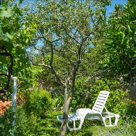 Unique Dalmatian Seafront - Set In A 300 M2 Mediterranean Garden With Private Beach, Large Pool And Terrace. * 자톤