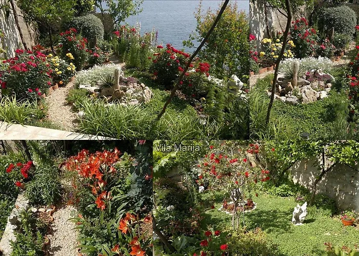 Unique Dalmatian Seafront - Set In A 300 M2 Mediterranean Garden With Private Beach, Large Pool And Terrace. * 자톤