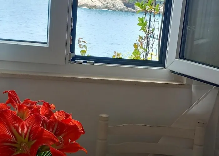 Unique Dalmatian Seafront - Set In A 300 M2 Mediterranean Garden With Private Beach, Large Pool And Terrace. 빌라 *