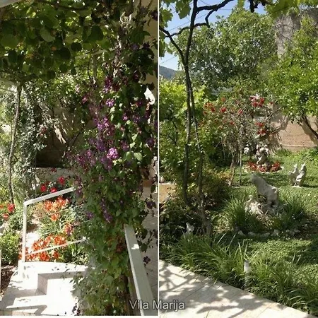Dalmatian Seafront Villa: Private Beach, Garden & Pool Oasis Zaton (Dubrovnik-Neretva)