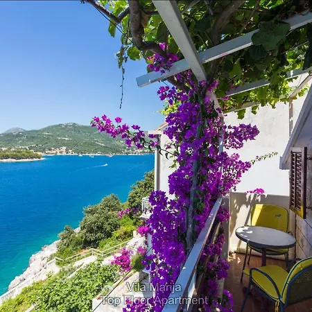 Dalmatian Seafront Villa: Private Beach, Garden & Pool Oasis * Zaton (Dubrovnik-Neretva)