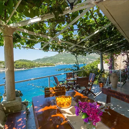 Villa Unique Dalmatian Seafront - Set In A 300 M2 Mediterranean Garden With Private Beach, Large Pool And Terrace.