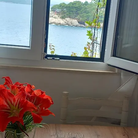 Dalmatian Seafront Villa: Private Beach, Garden & Pool Oasis Villa *